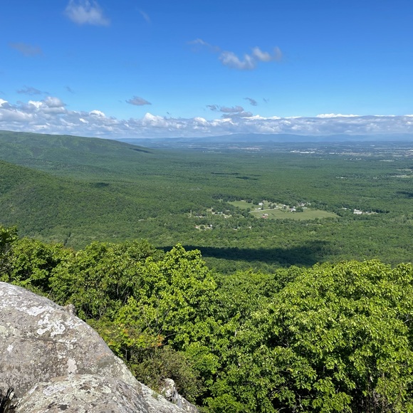 Meet your Posher, D. - Picture 5 of 6